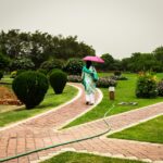 Promoting Eco-Design Competitions to Inspire Innovation in Auto Recycling Solutions: Sky247, Gold365 login, Gold 365 site sign up